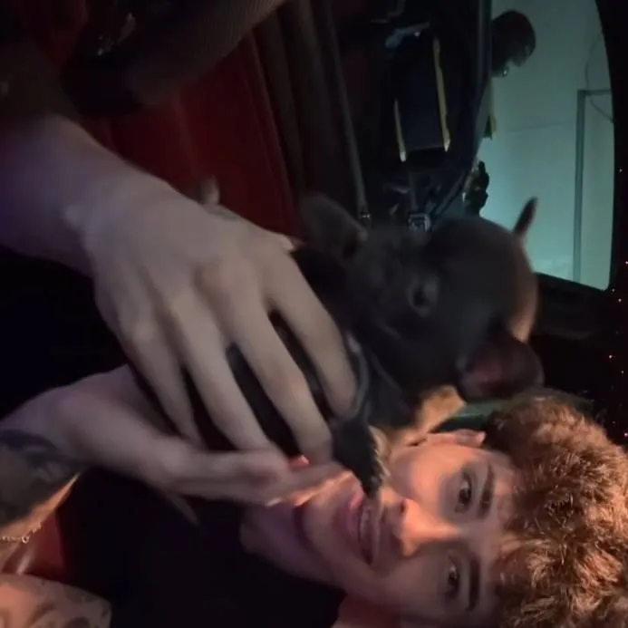 chat with ai character: alex chino