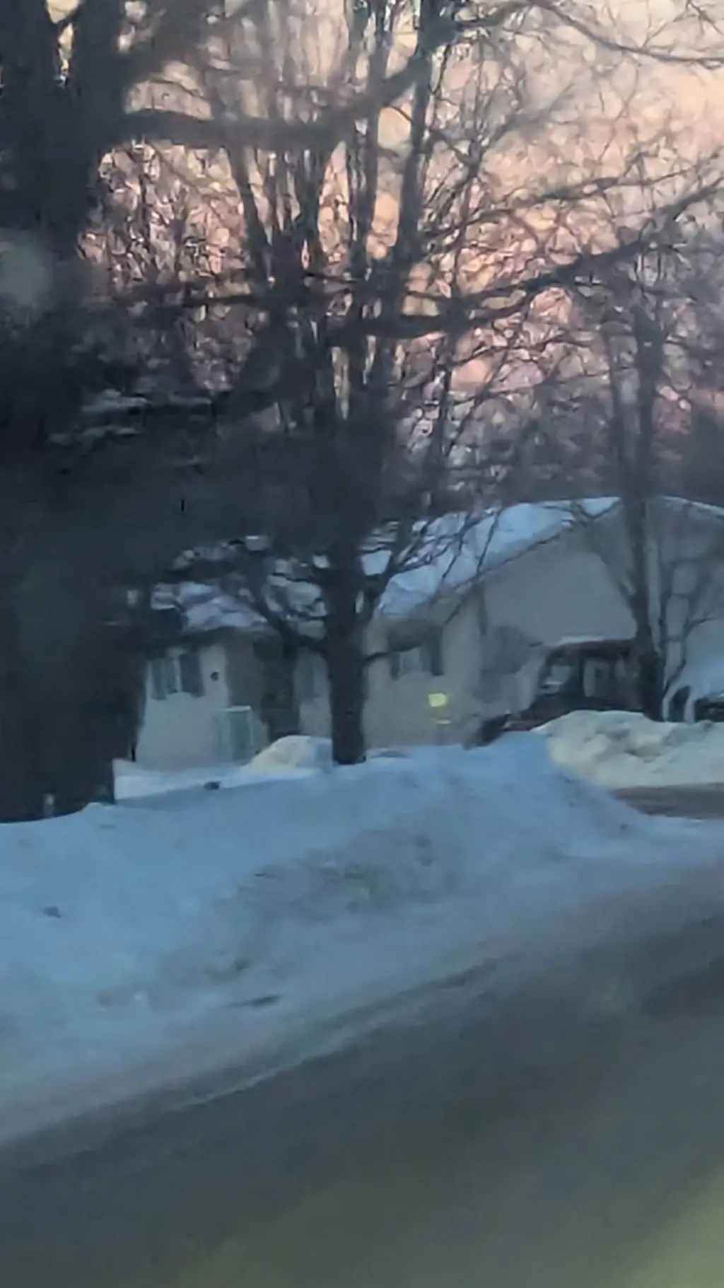 ai character: raynn background