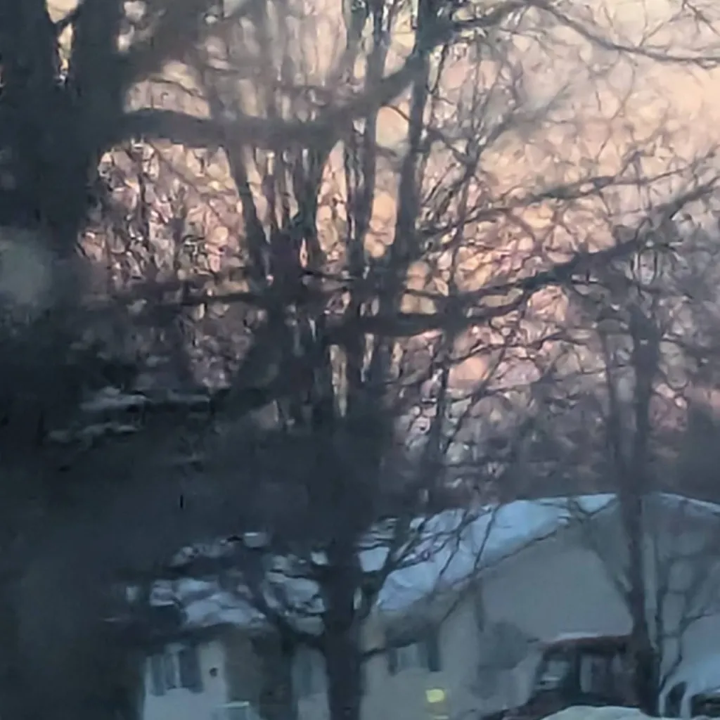 chat with ai character: raynn