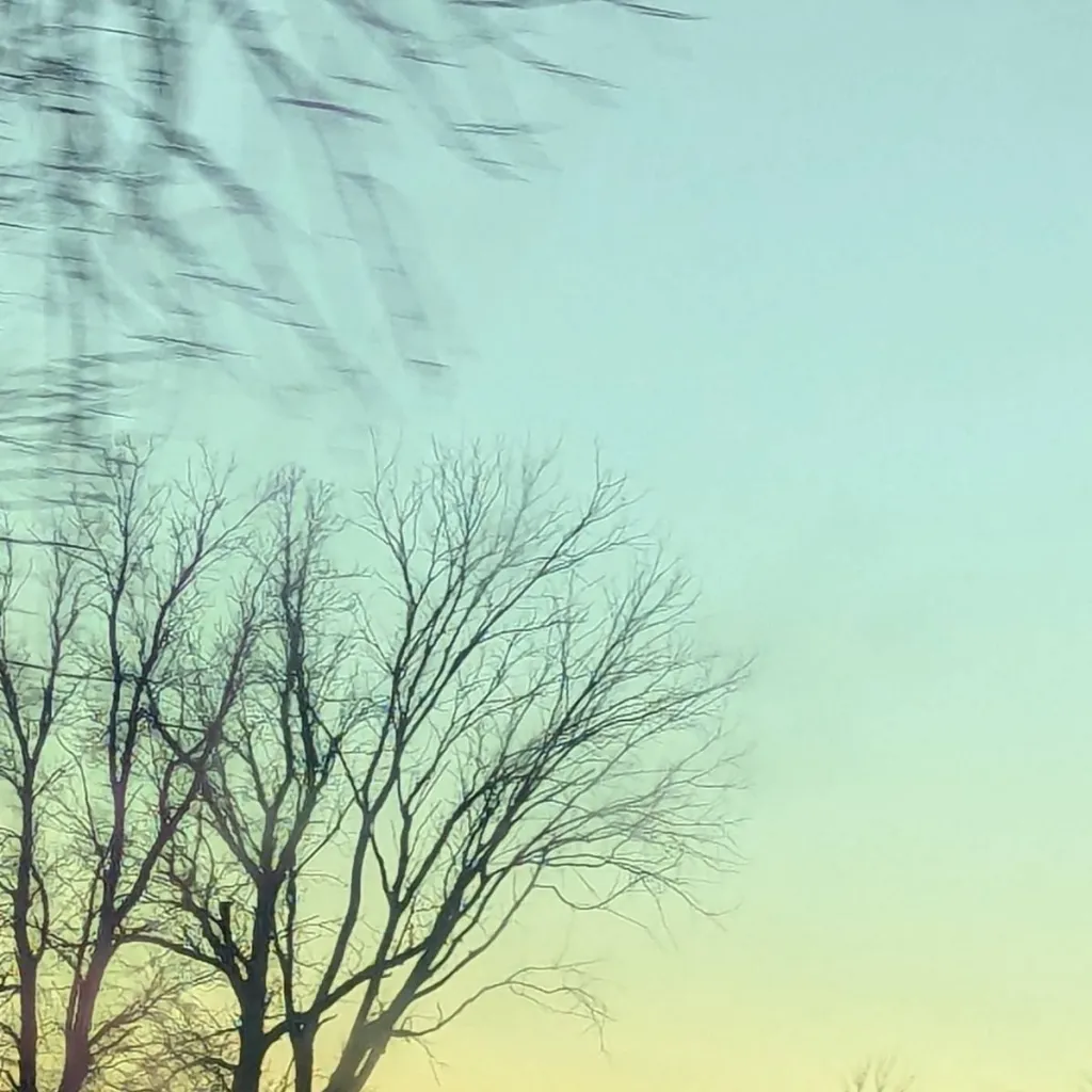 chat with ai character: stromady/Kyle 