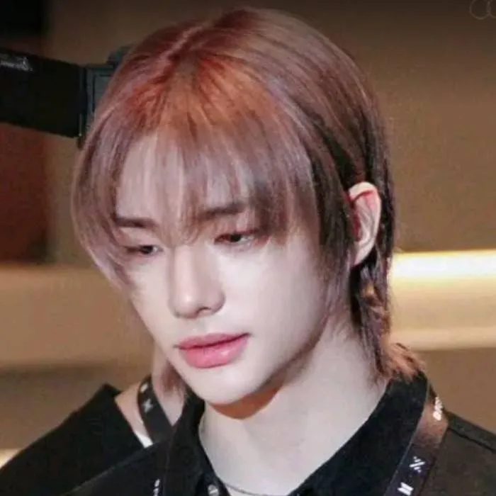 chat with ai character: Hwang Hyunjin