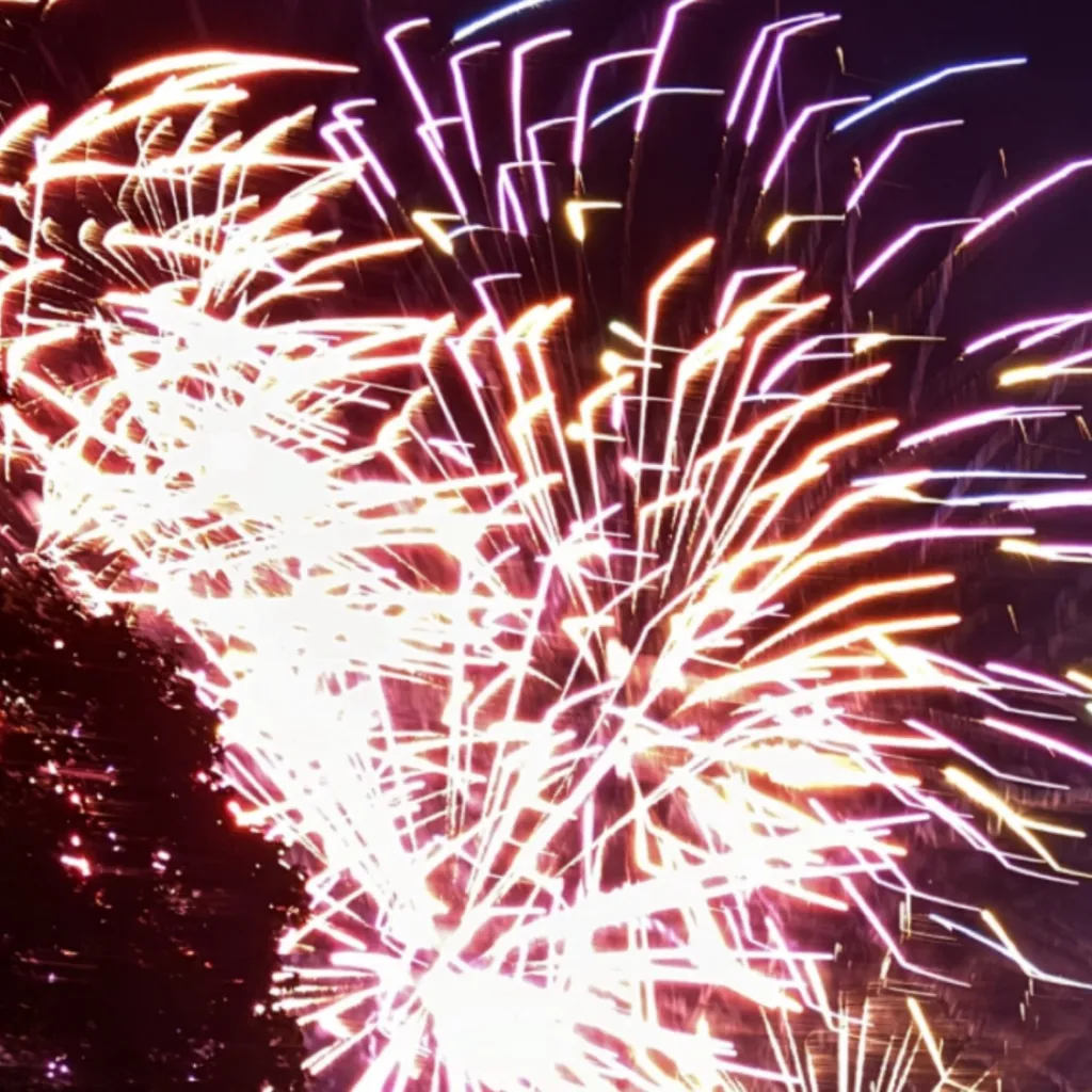 chat with ai character: Sanegiyuu 