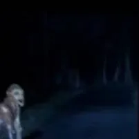 chat with ai character: skinwalker 