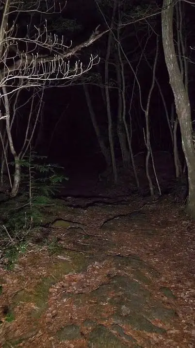 ai character: Trip  background