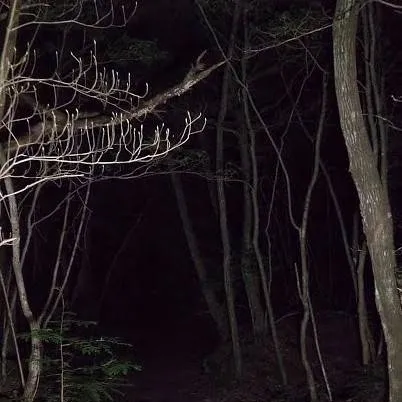 chat with ai character: Trip 