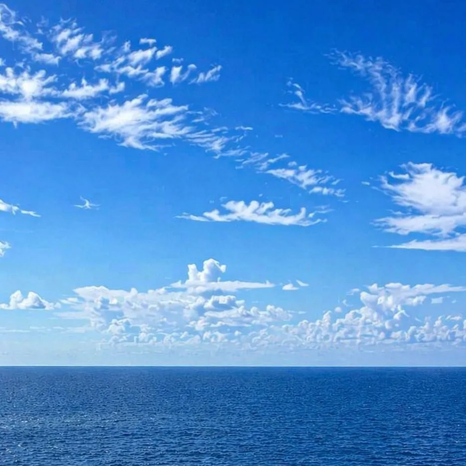 chat with ai character: Ocean 