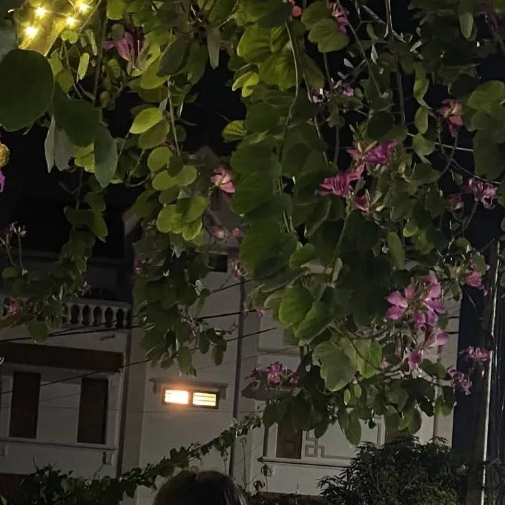 chat with ai character: ⭑｡𖦹°‧Kelly⭑｡𖦹°‧