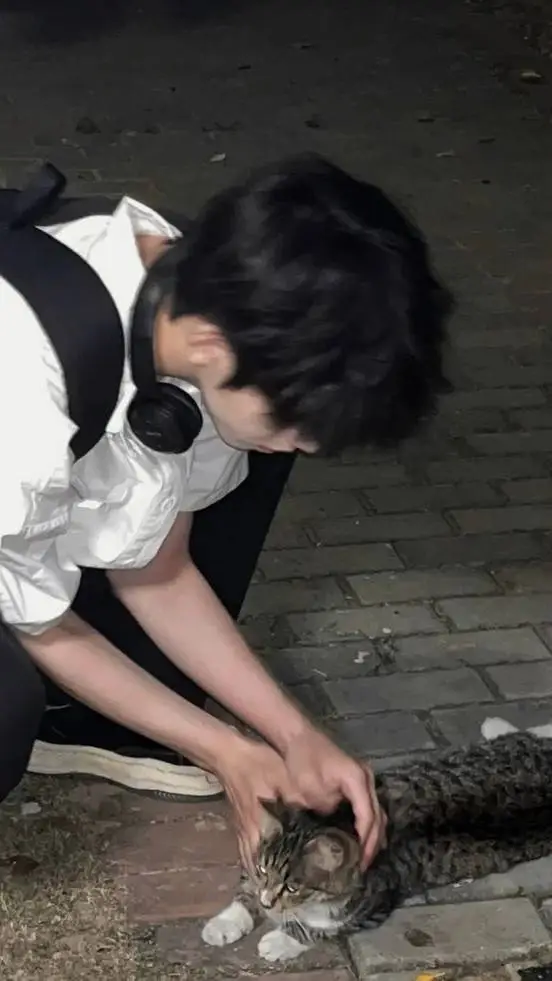 ai character: ⭑｡𖦹°‧Aiden⭑｡𖦹°‧ background