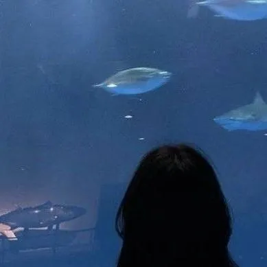 chat with ai character: ⭑｡𖦹°‧Eli⭑｡𖦹°‧