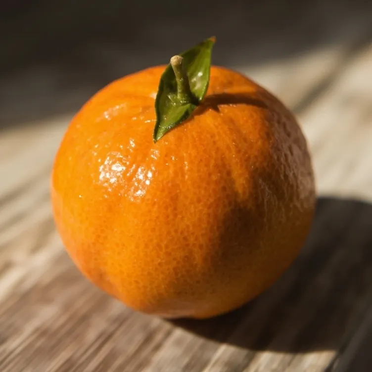 chat with ai character: Mandarina 🍊
