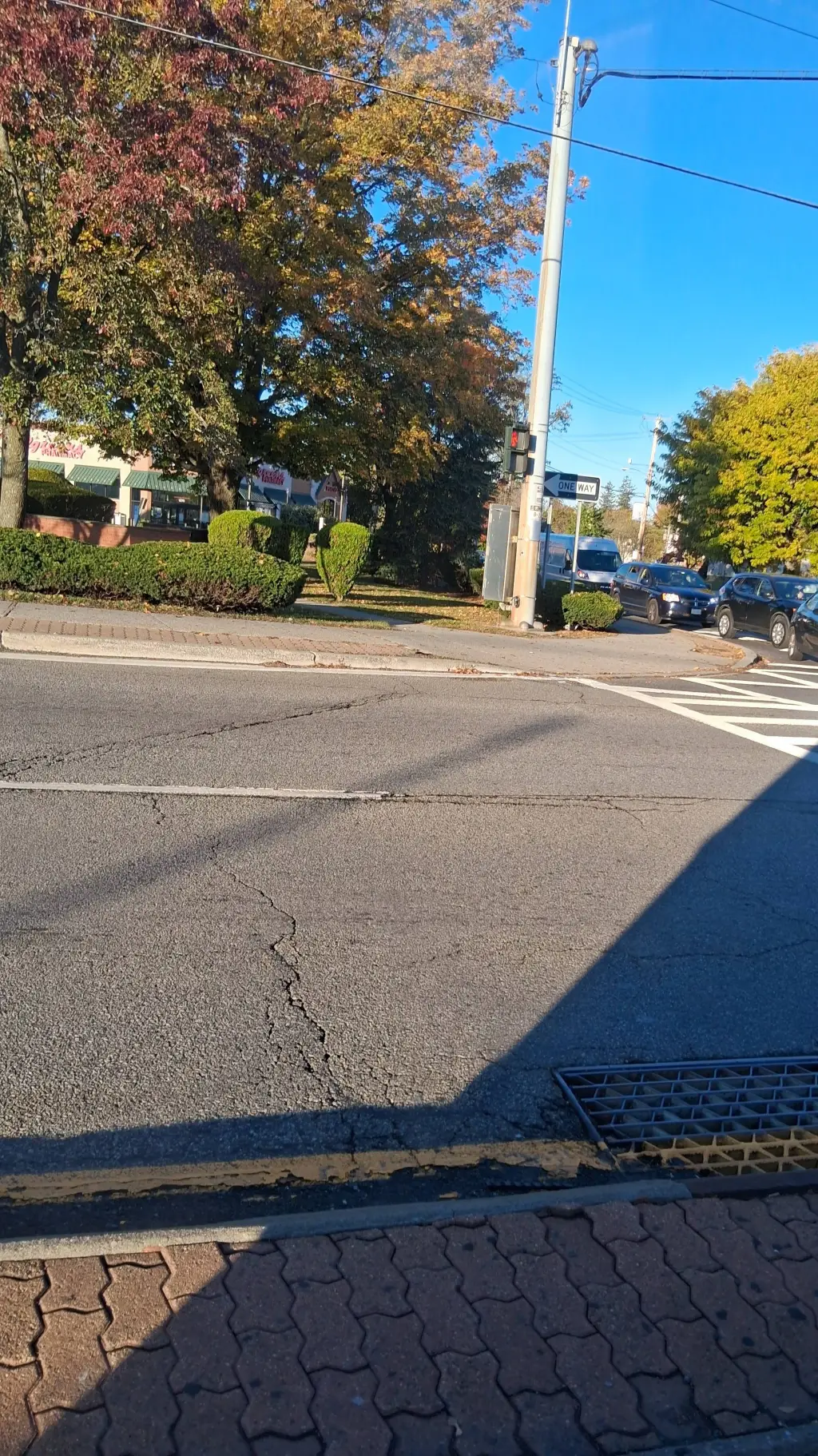 ai character: mystery  background