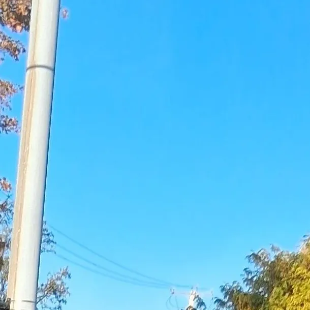 chat with ai character: mystery 