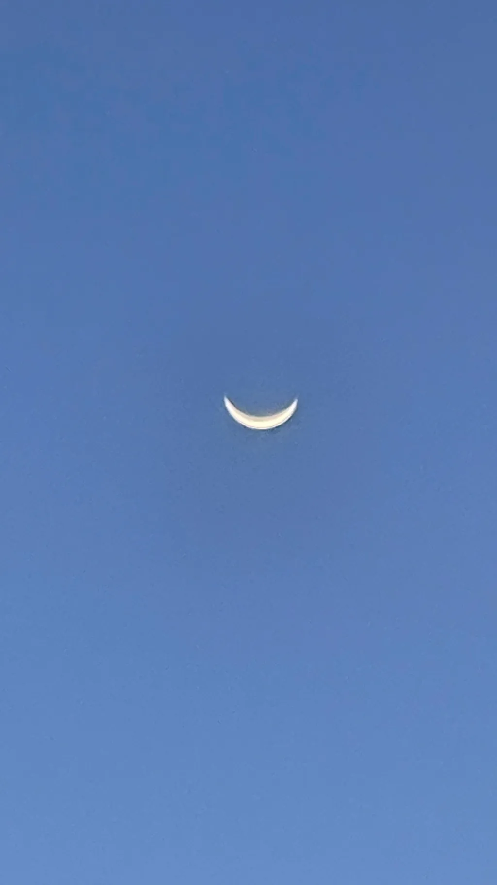 ai character: my school- (chaos) background