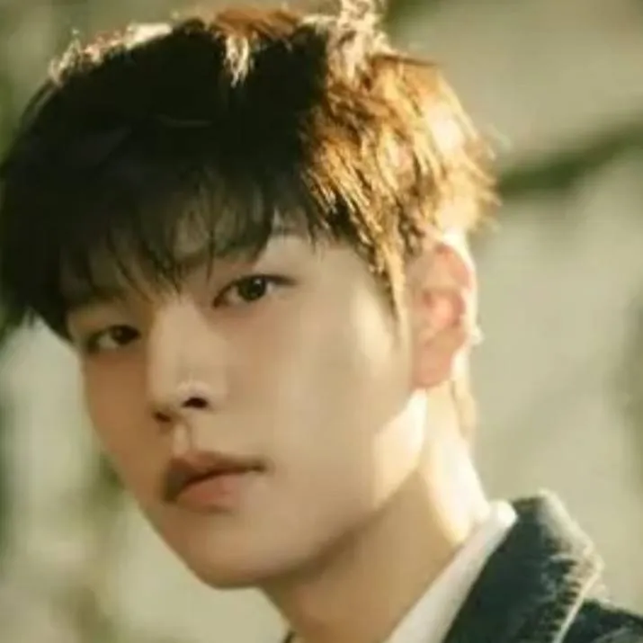 chat with ai character: Seungmin 🗣️🫦