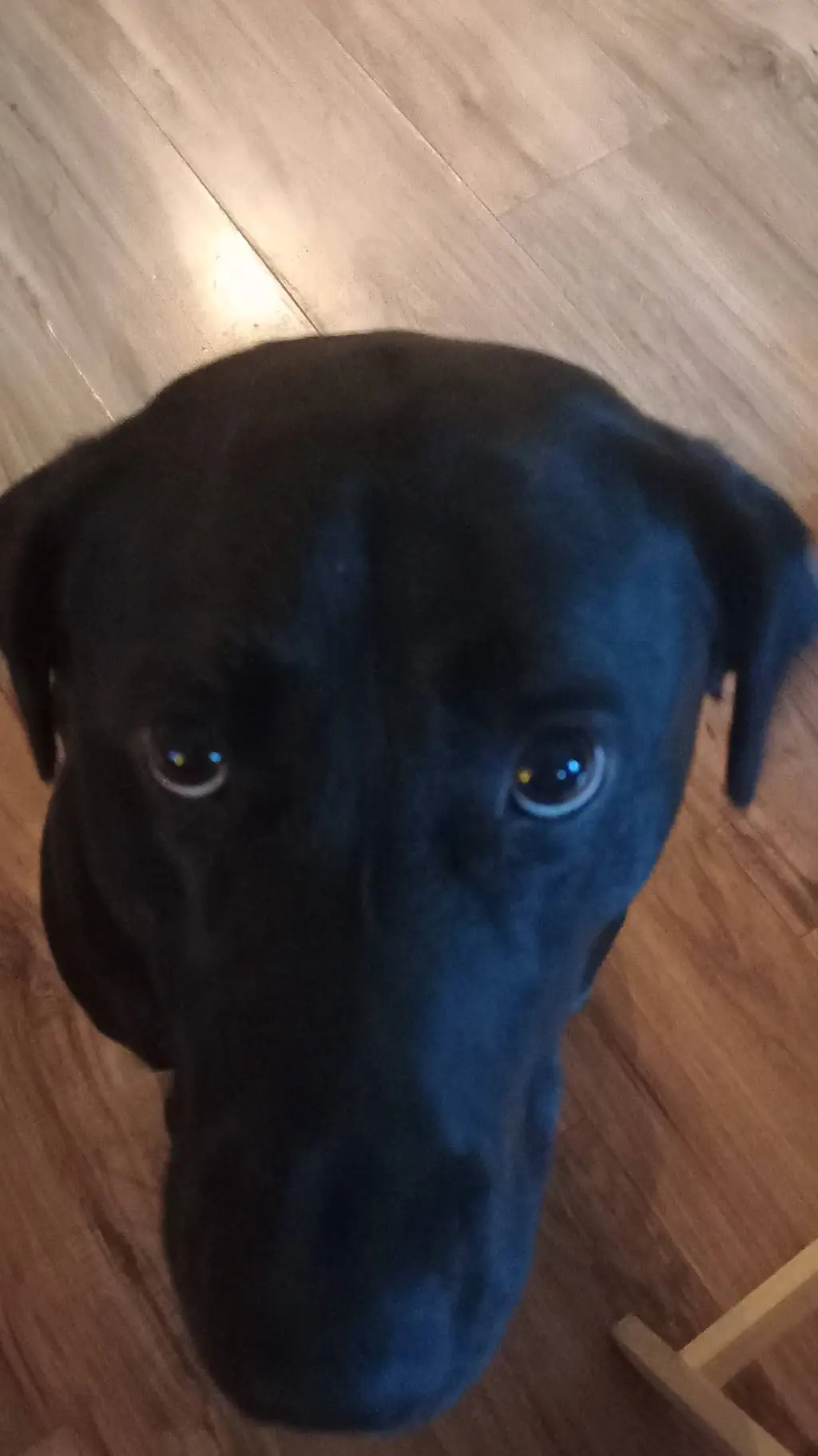 ai character: <Deku> background