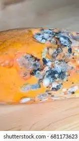 ai character: rotten papaya background