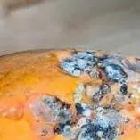 chat with ai character: rotten papaya