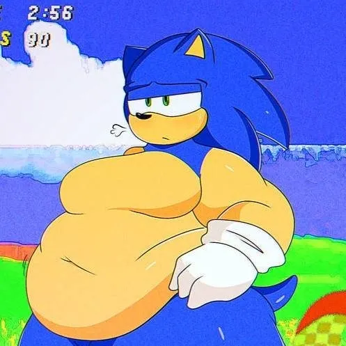 chat with ai character: Fat Sonic