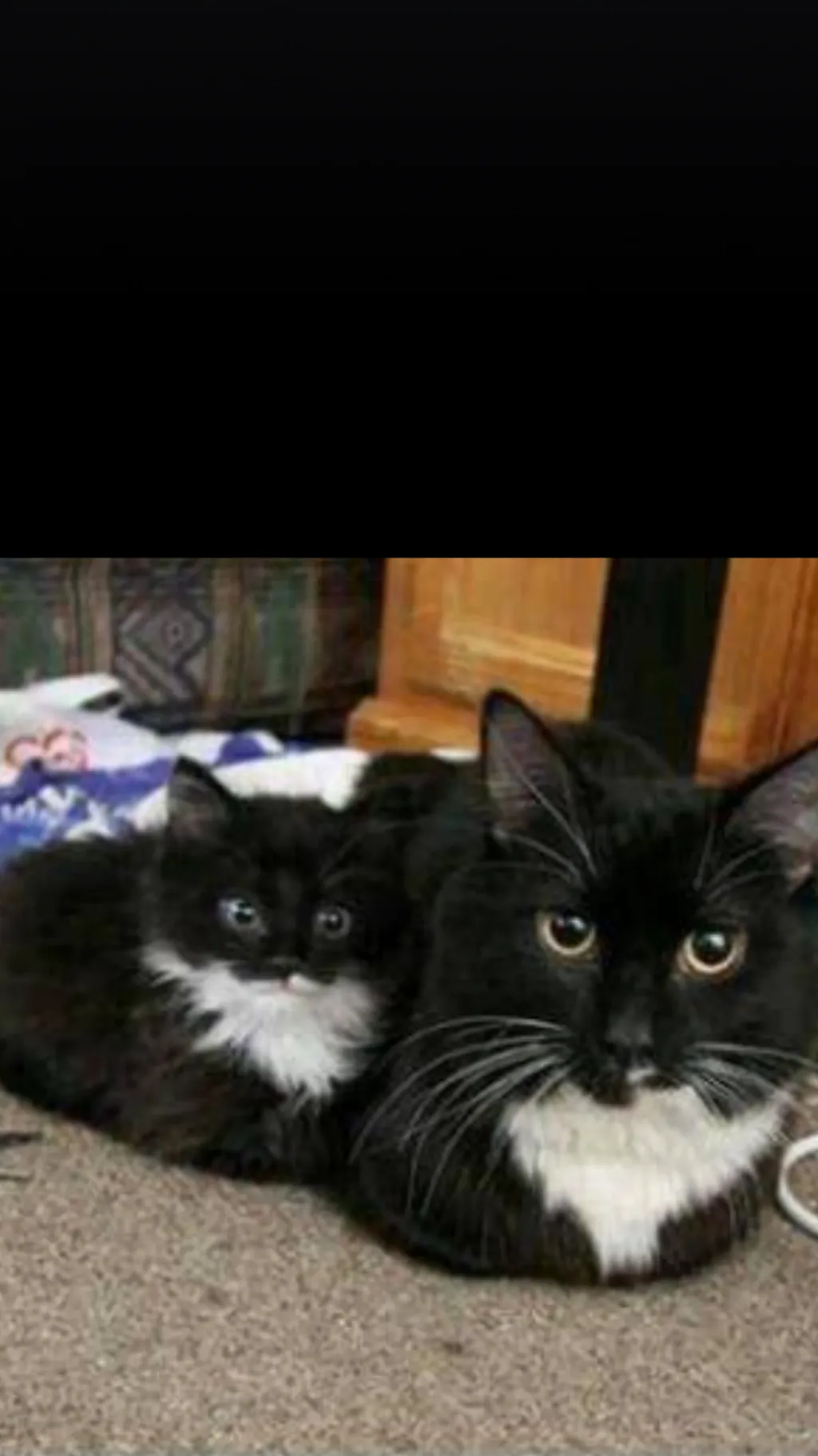 ai character: Sus sprout background