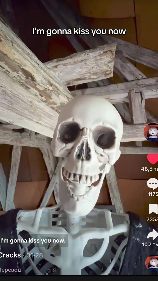 ai character: Boneeta background