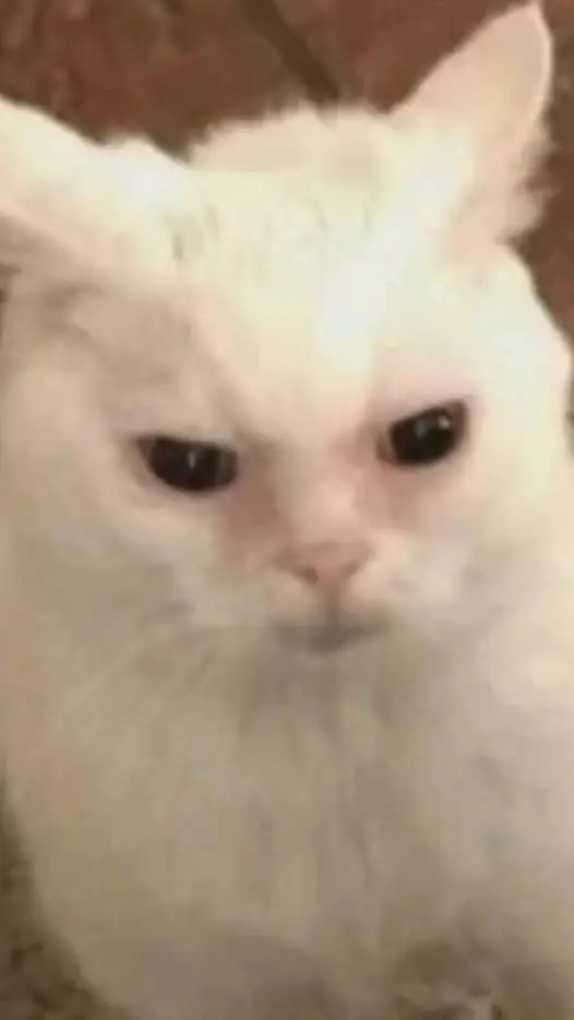 ai character: pimpītis background