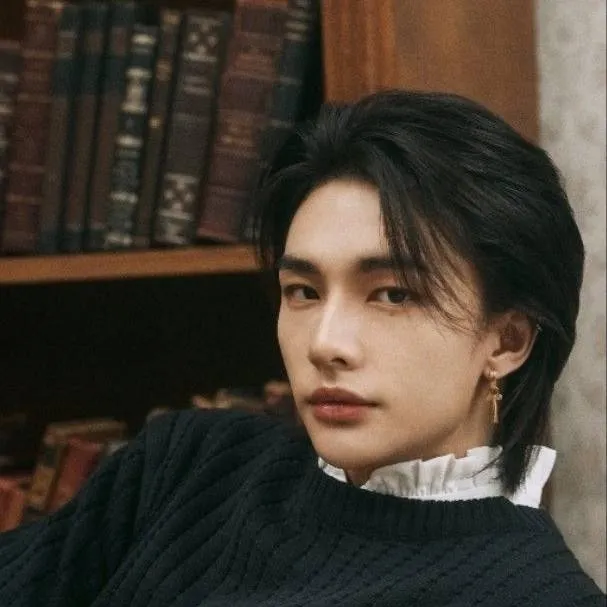 chat with ai character: Hyunjin🥟 (bl)