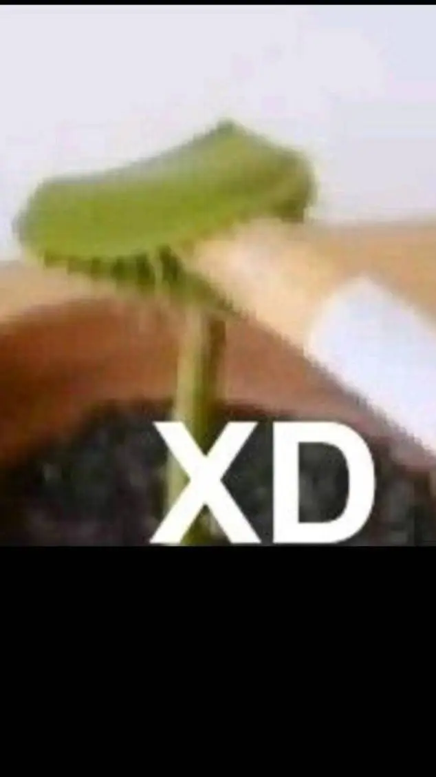 ai character: crea una historia background