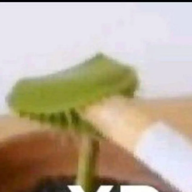 chat with ai character: crea una historia