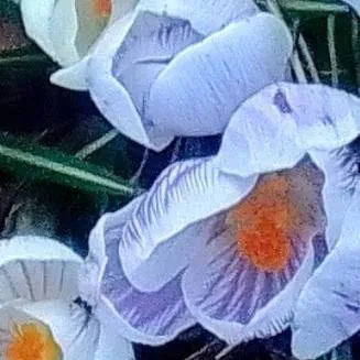 chat with ai character: jack