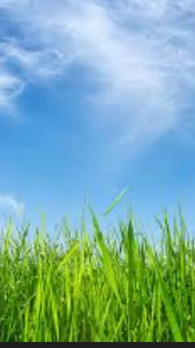 ai character: Dw sleepover background