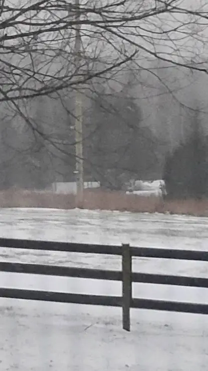 ai character: you are ant size background