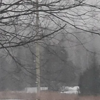 chat with ai character: you are ant size