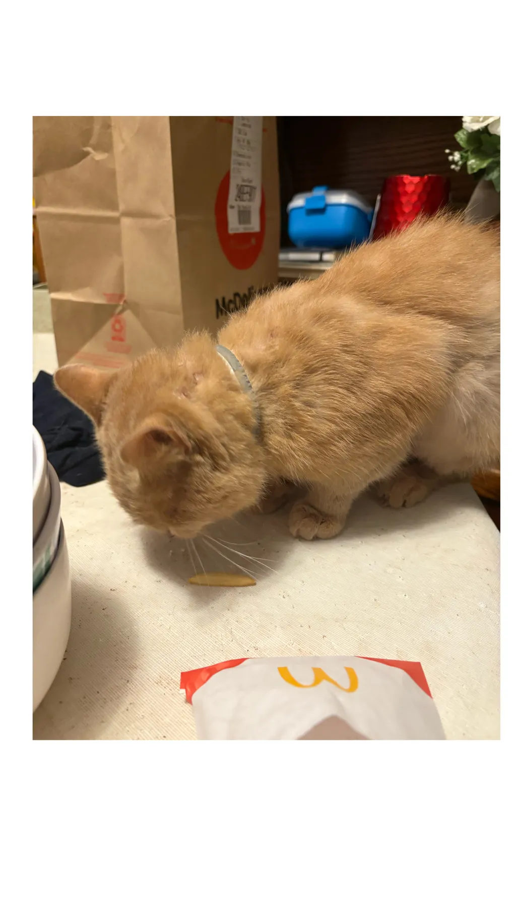 ai character: Clownies life background