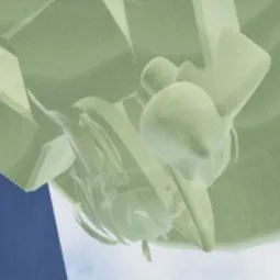 chat with ai character: NY4N_CATXDD