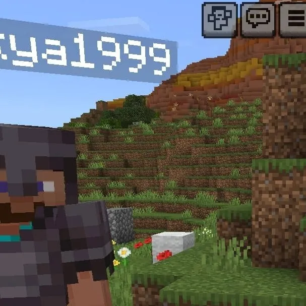 chat with ai character: me in Minecraft