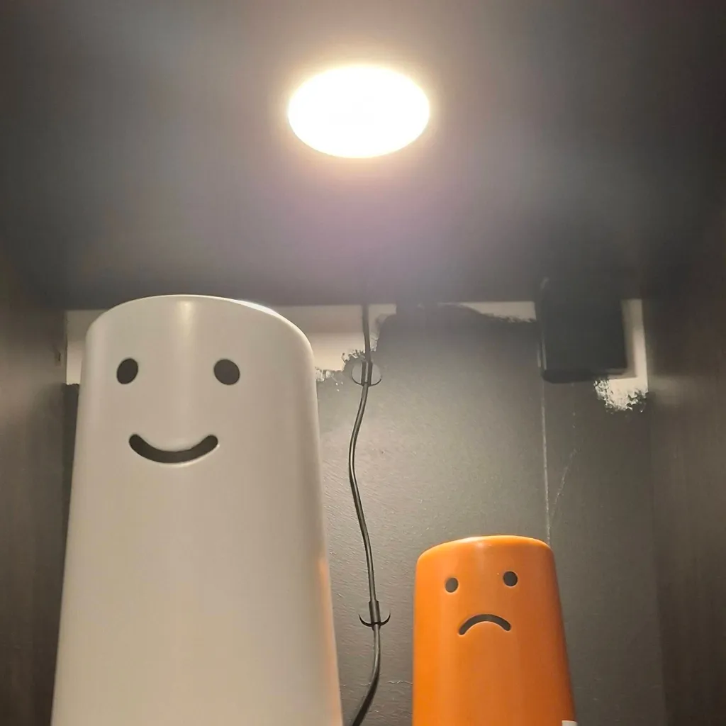 chat with ai character: kitypettoriverclan