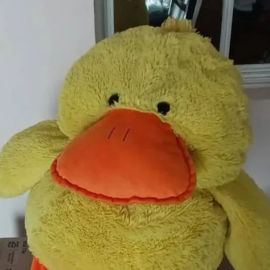 chat with ai character: PATO