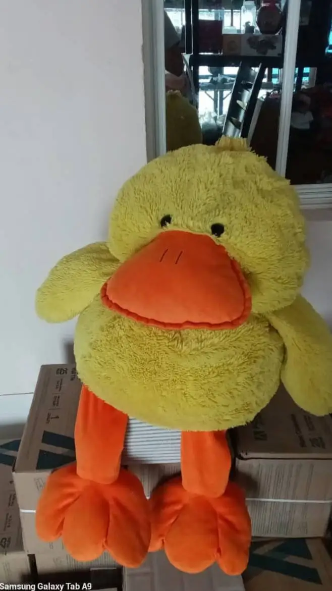 ai character: PATO background