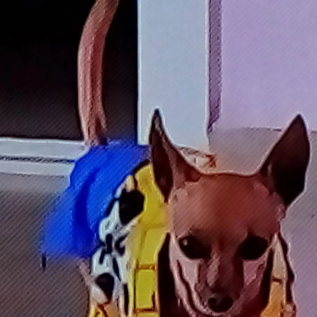 chat with ai character: inhoque