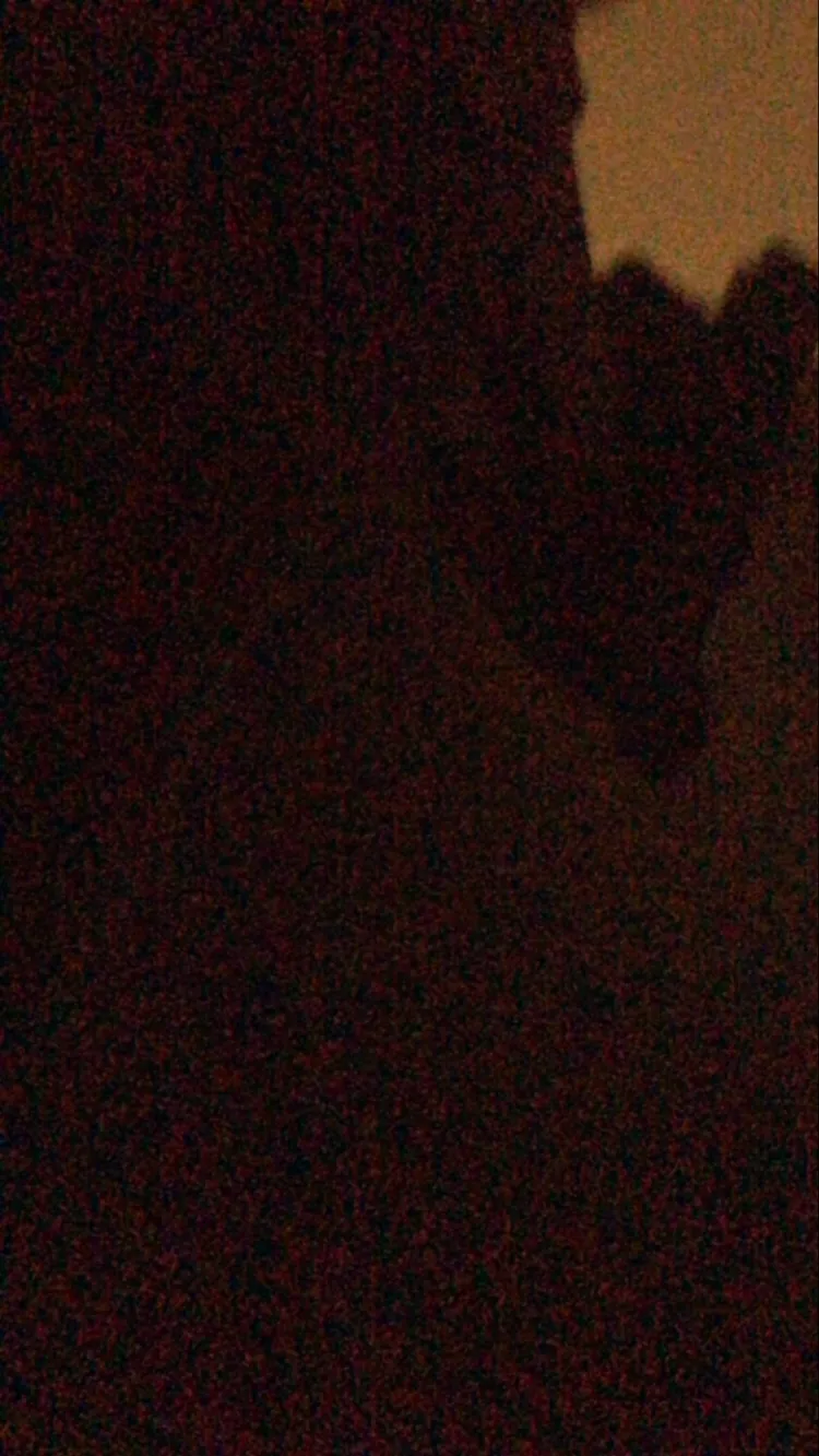 ai character: Jang guem ja & 007 background