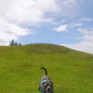 chat with ai character: Sky squid game