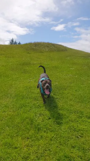 ai character: Sky squid game background