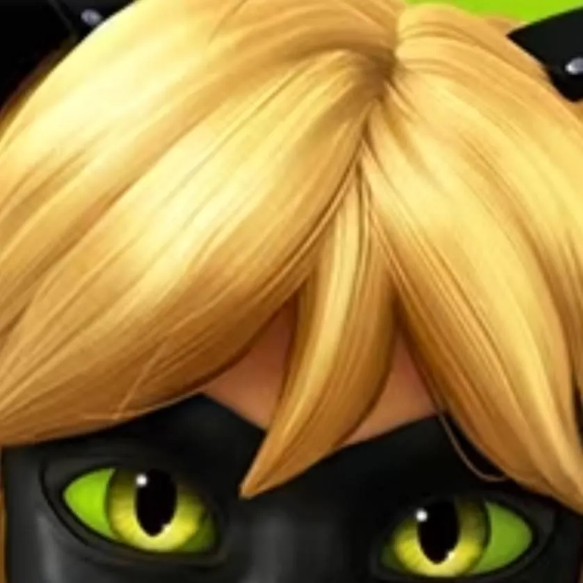 chat with ai character: cat noir
