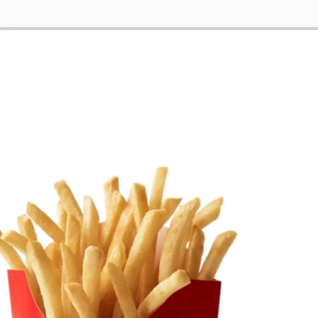 chat with ai character: fries