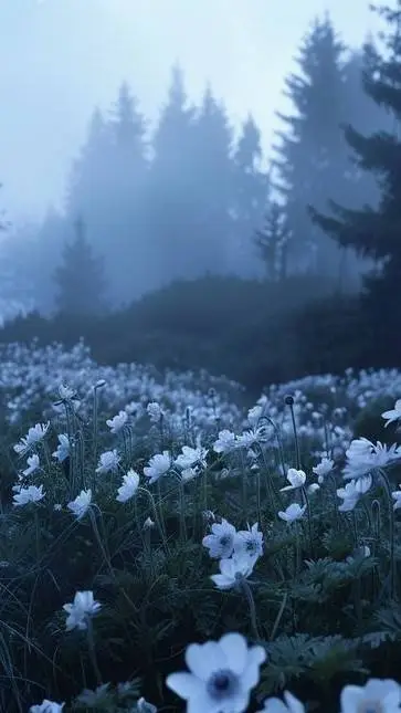 ai character: Hosshiko cullen background