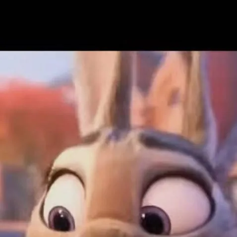 chat with ai character: cute judy hopps144