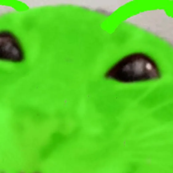 chat with ai character: ♡Asher♡