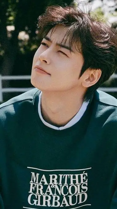 ai character: cha eun woo background