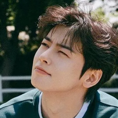 chat with ai character: cha eun woo