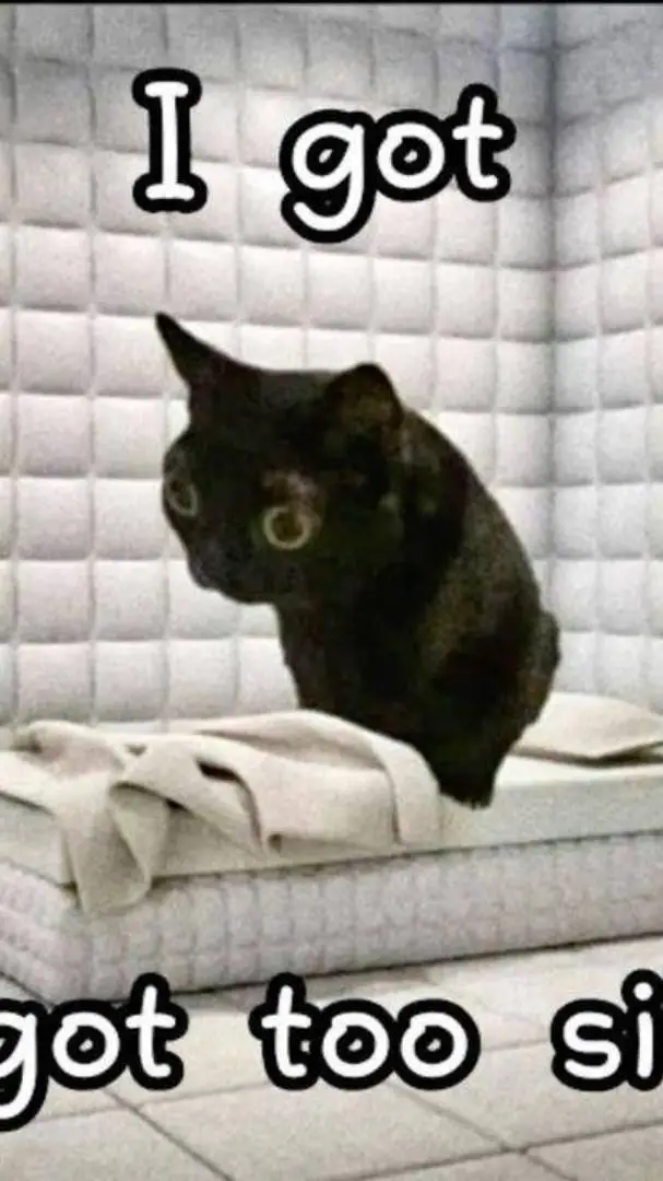 ai character: ☾★~HHxHB~★☾ background